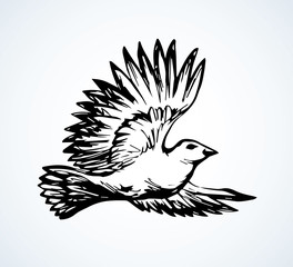 Vector drawing. Small titmouse