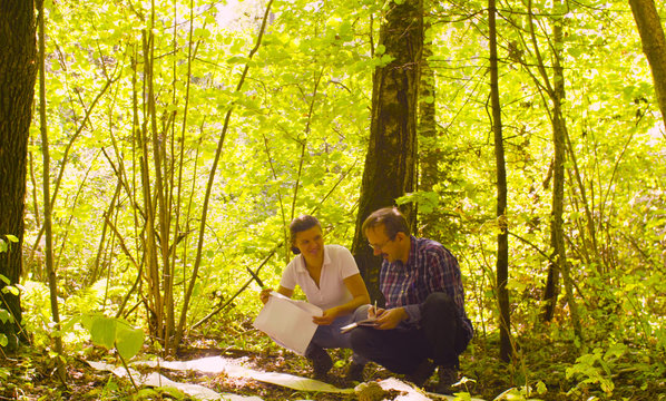 Two ecologist getting samples of soil in the forest inside square marking site. Field work