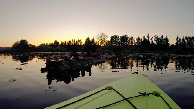 Paddling Kayak by Ducks Sitting on a Log at Sunset