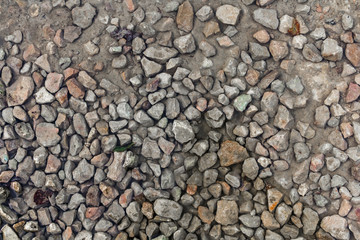 Close up wet stony soil in a fall