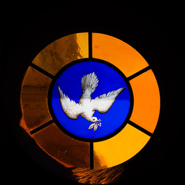 Dove Stained Glass