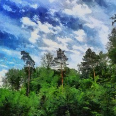 Obraz premium Hand drawing watercolor art on canvas. Artistic big print. Original modern painting. Acrylic dry brush background. Beautiful green forest landscape. Wild nature. Paradise view. Blue bright sky clouds