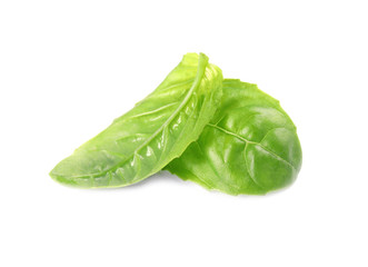 Fresh green basil leaves on white background