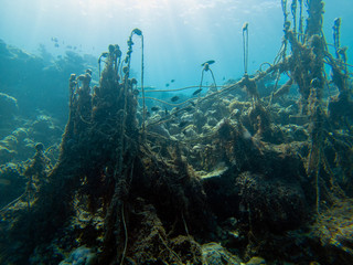 Discarded ghost fishing net causing damage to a coral reef and their habitat