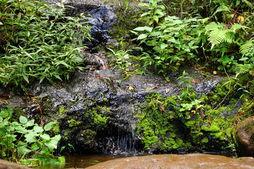 Kalalau Trail and Tiny Waterfall