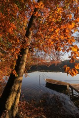 Naklejka na ściany i meble idyllische Herbst Landschaft mit Herbstlaub am See