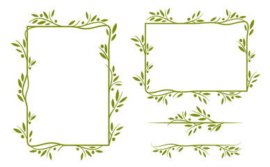 Olive tree border. Vector element. EPS10.