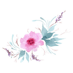 Watercolor tender pink peony flower. Floral botanical flower. Isolated illustration element. Aquarelle wildflower for background, texture, wrapper pattern, frame or border.