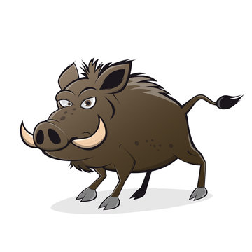 wildschwein cartoon clipart wildsau lustig