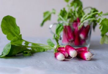 Radishes with white tips