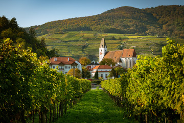 Church of Spitz an der Donau and vineyards on a sunny day in autumn