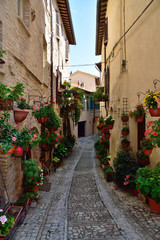 Fototapeta na wymiar Floral streets of Spello in Umbria, Italy.