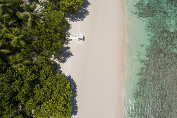 Tropical beach with sea and palm taken from drone. Beach drone photo. Beach and sea photo. Beach and palms. White sand beach. Romantic beach aerial view.