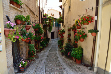 Floral streets of Spello in Umbria, Italy. - obrazy, fototapety, plakaty