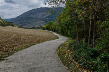 Winding road next to a carved field