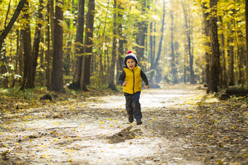 Fototapeta premium A little boy in a knitted hat with a pompon runs away down the path in the autumn park