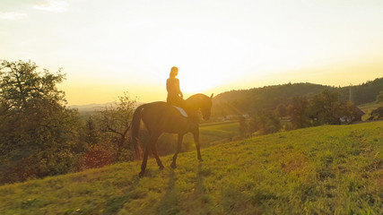 AERIAL: Beautiful brown horse trots as young woman rides it at scenic sunset.