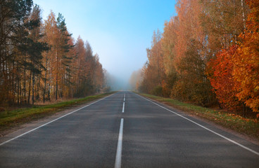 Highway view in early autumn foggy morning