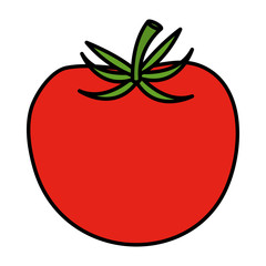 tomato fresh isolated icon