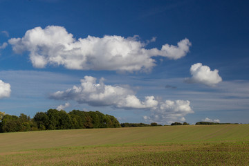Obraz premium fields and meadows of the Northern Sjelland, Denmark