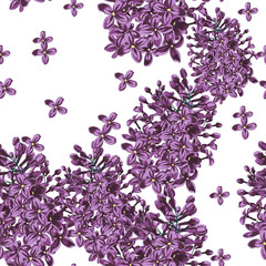 Purple Lilac flowers and petals watercolor style seamless pattern. Spring summer background.