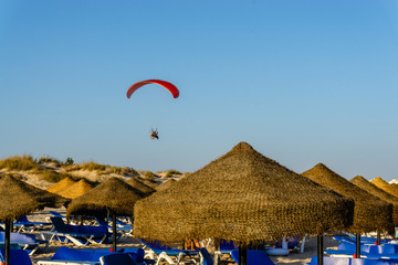 Paraglider with motor flying over the beach.