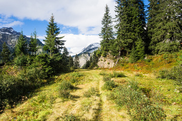 Obraz premium OLYMPUS DIGITAL CAMERA