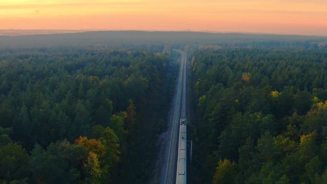 Aerial view of high-speed train moving through the autumn forest at sunset