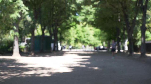 View of dirt trail path at lush green park in Paris France