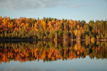 Obraz premium Reflection of trees and clouds in water at golden sunset.