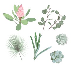 Botanical Elements: palm leaves, tropical protea flowers, succulent and silver dollar eucalyptus.