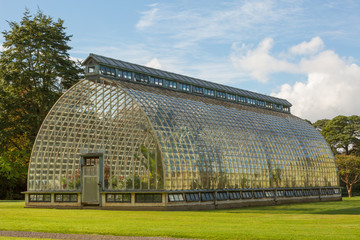 Large Old Greenhouse