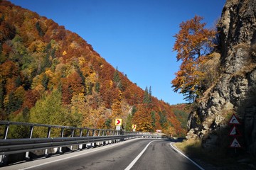 Road in mountains. Autumn season 