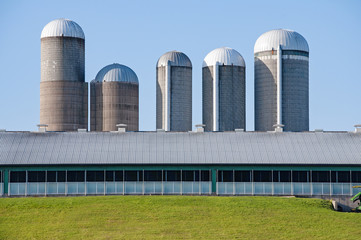 Grain silos on a hill