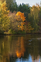 Autumn landscape, colorful vivid foliage of trees, sunny day. Reflection of bright forest in water