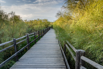 Obraz premium Wood path in the algarve in Portugal.