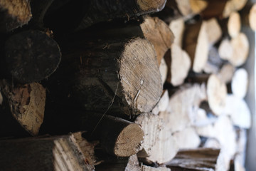 Wood, logs