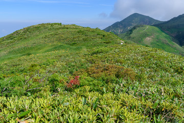 Fototapeta premium ニセ巻機山（前巻機山）から見た割引岳