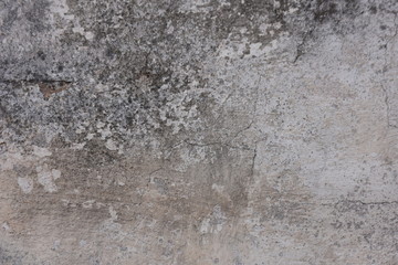 muro ,texturas