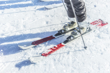 person with skis and poles in the snow