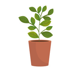 houseplant in pot icon