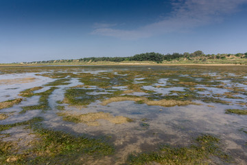 National Park Ria Formosa in Algarve, Portugal