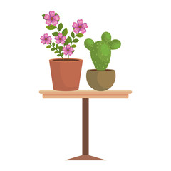houseplants in wooden table