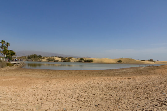 La Charca nature reserve lake next to the sand dunes at Maspalomas