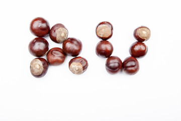 chestnut alphabet white background 