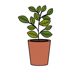 houseplant in pot icon