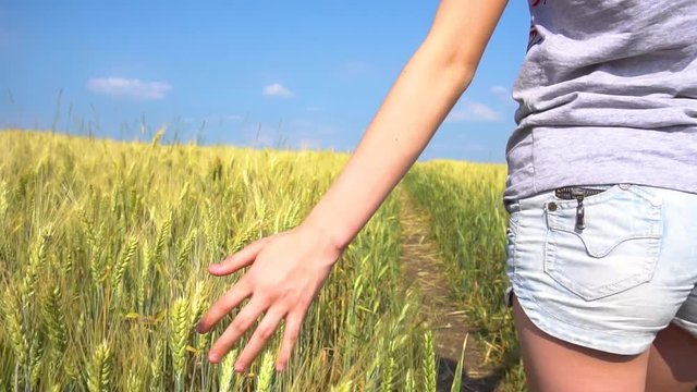 Crop tenager touching cereal grass