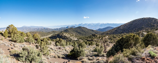 Fototapeta na wymiar Panorama of Eastern Sierra Mountains on a sunny summer as seen from Inyo National Forest, White Mountain Road, Ancient Bristlcone Pine Forest, near Bishop and Big Pine California.