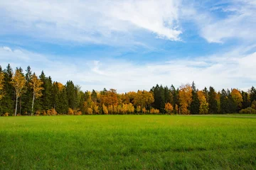  Gorgeous autumn colorful nature landscape view. Beautiful nature backgrounds. Green yellow trees and grass field on blue sky background. © Alex