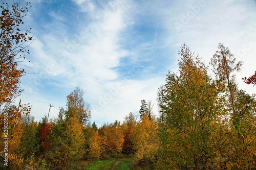 Gorgeous Autumn Colorful Nature Landscape View Beautiful